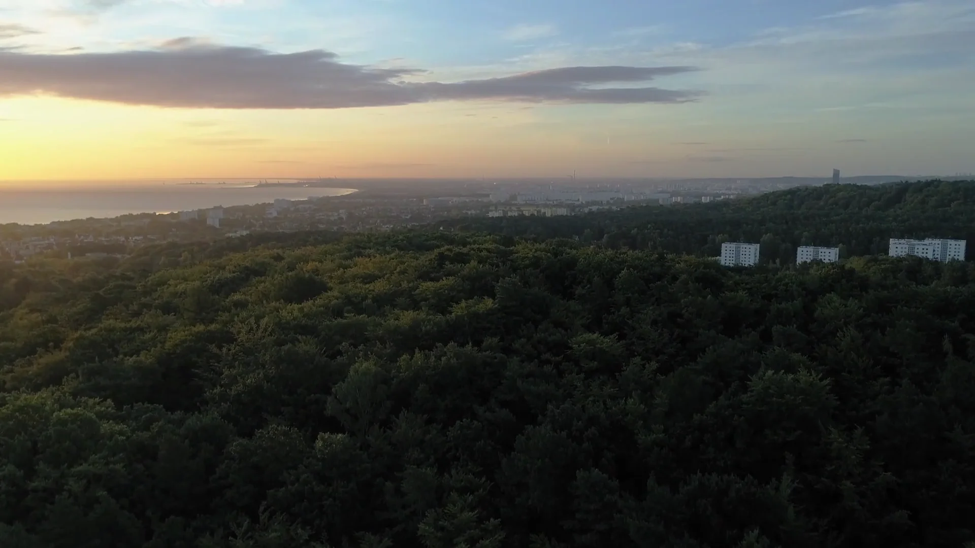 Sopot z perspektywy koron drzew